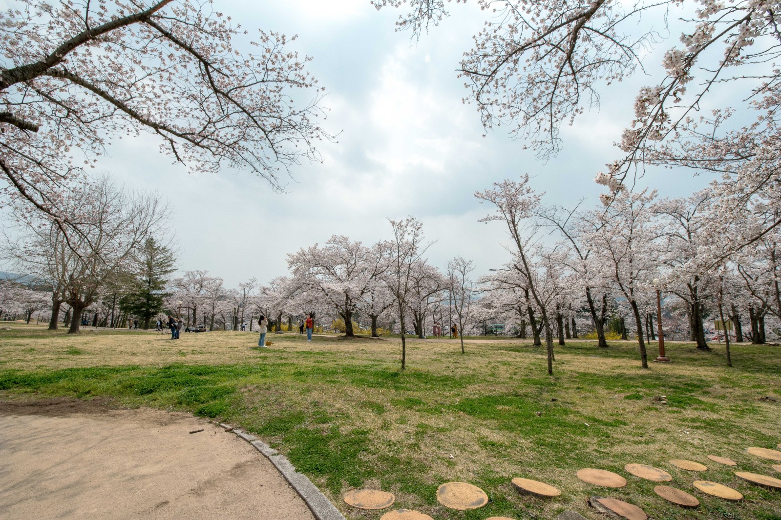 불국사(2019년 봄)