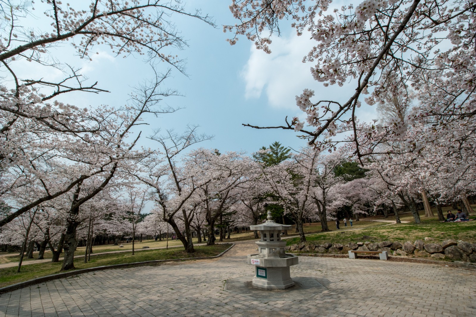 불국사(2019년 봄)