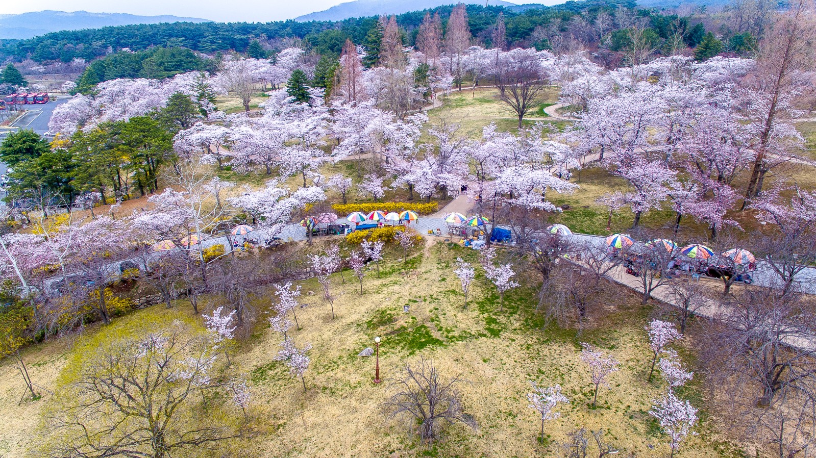 불국사(2019년 봄)