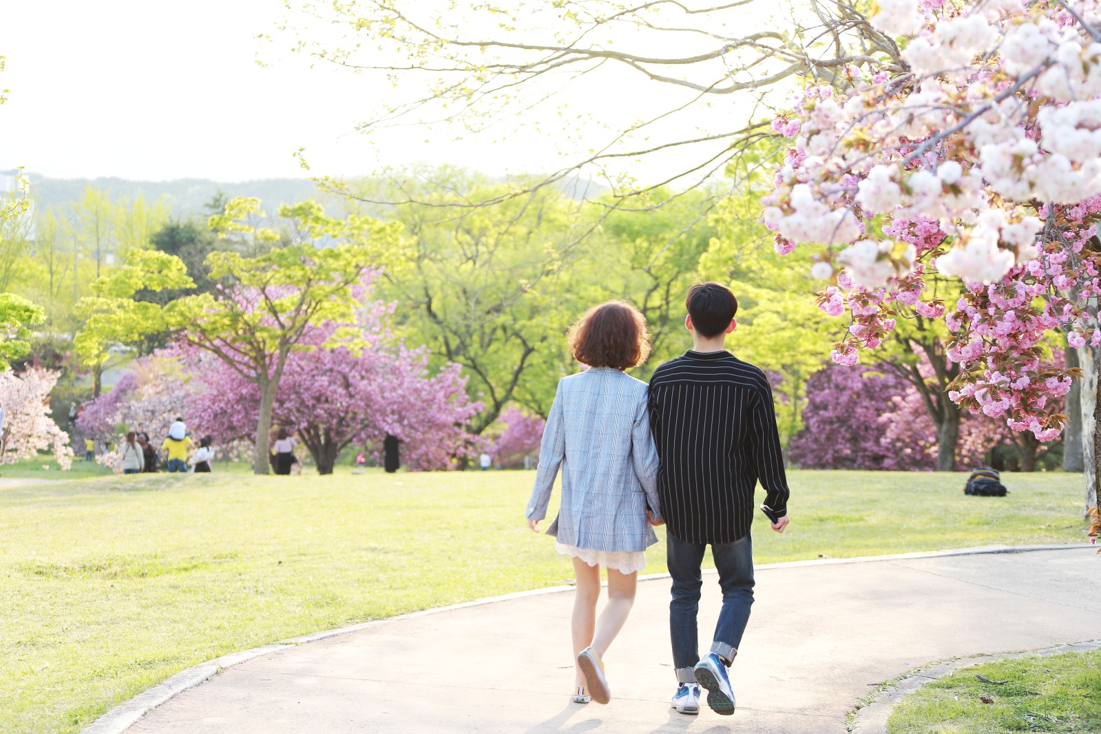 불국사(2019년 봄)