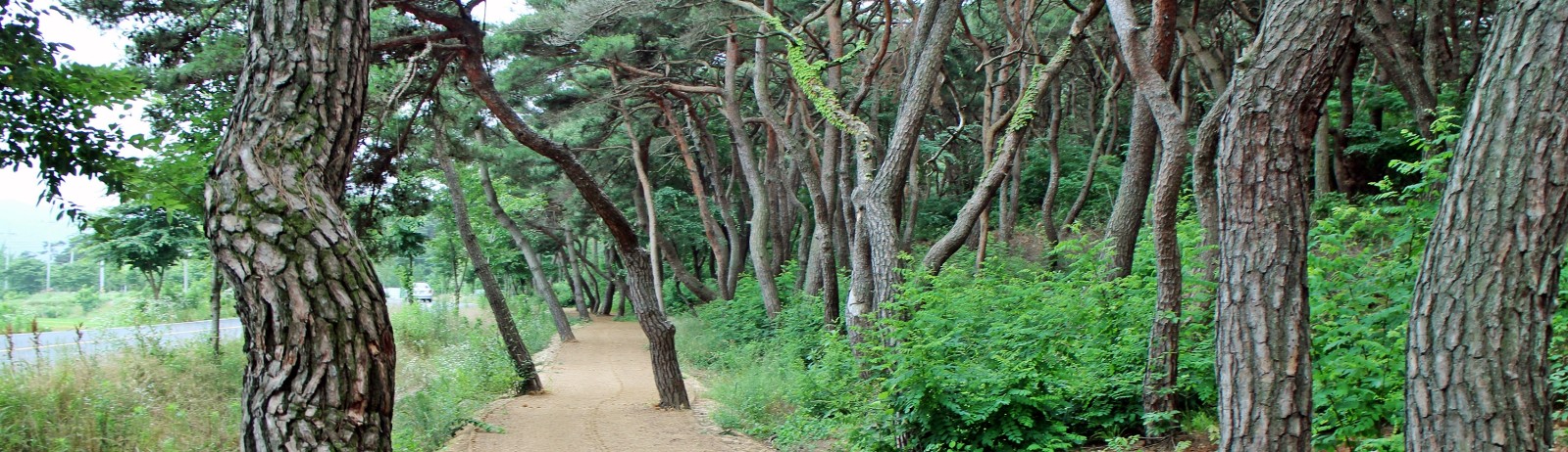 동남산가는길