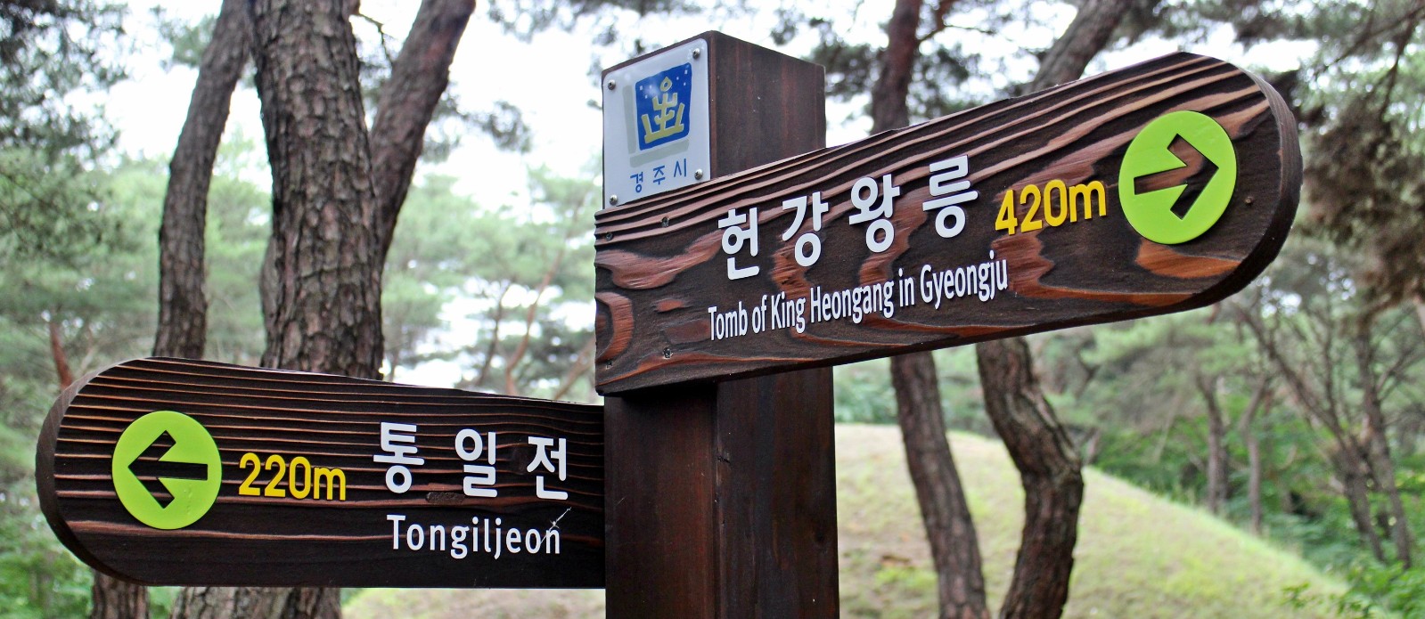 동남산가는길