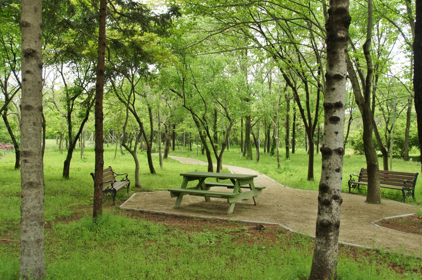 경상북도산림환경연구원(2019년 봄)