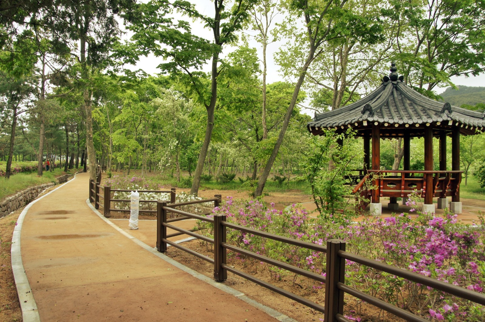 경상북도산림환경연구원(2019년 봄)