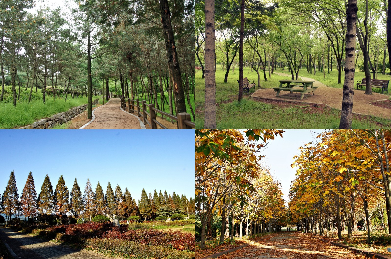 경상북도산림환경연구원(2019년 봄)