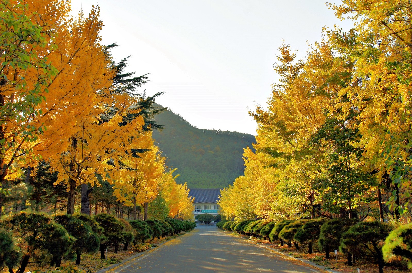 경상북도산림환경연구원(2019년 봄)