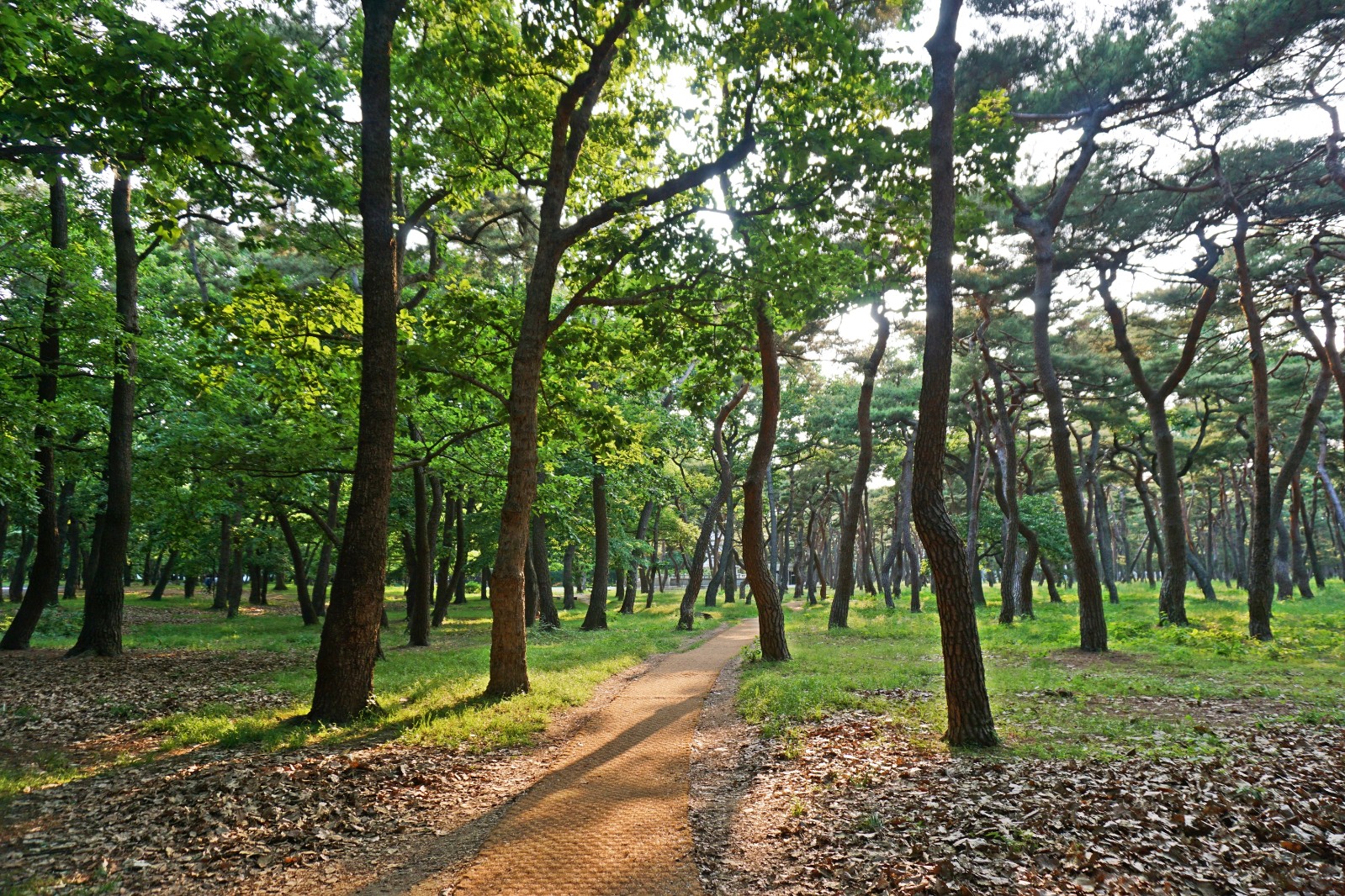 황성공원