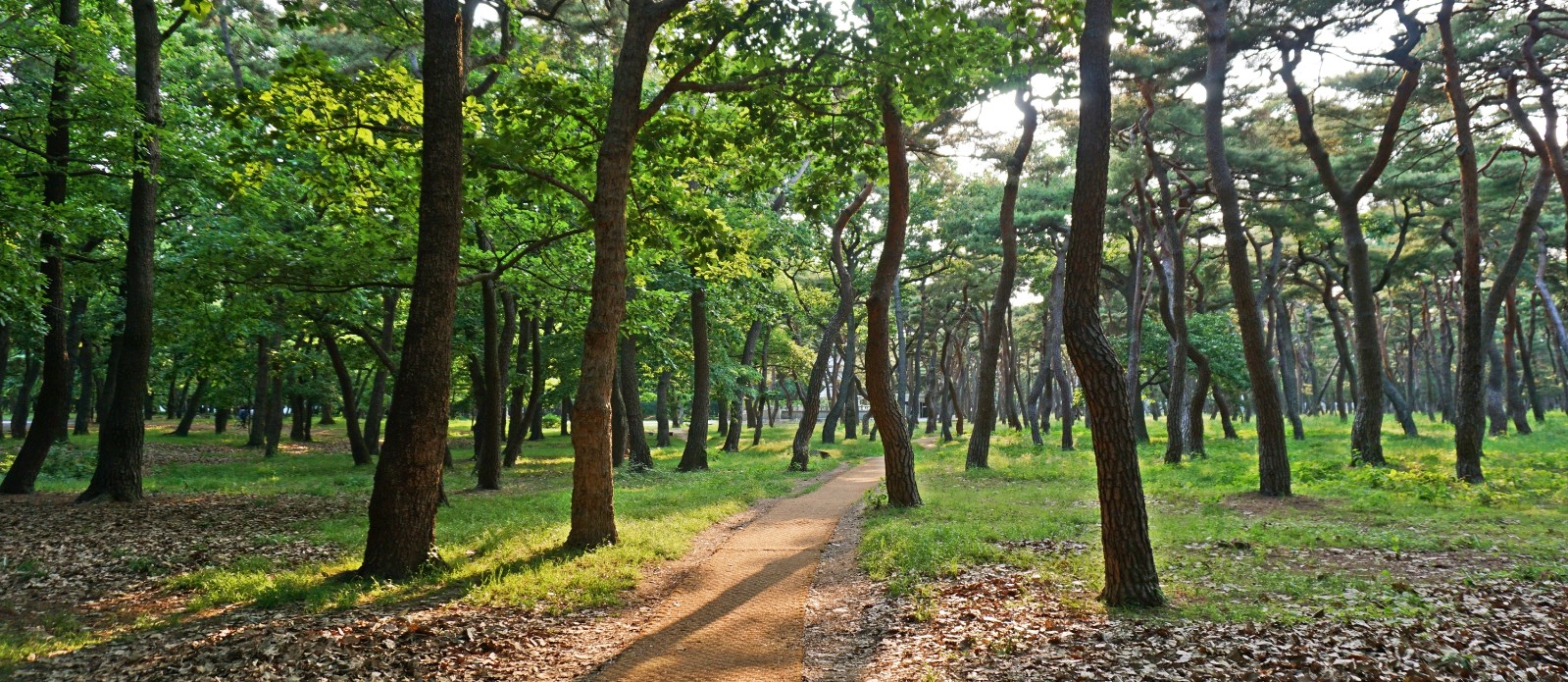 황성공원