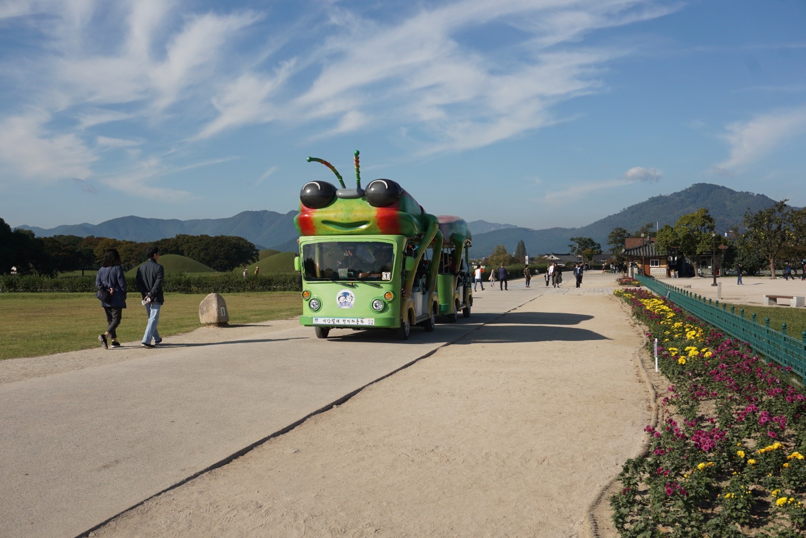 첨성대 비단벌레전기자동차