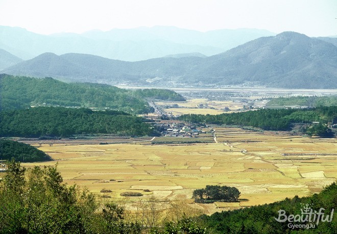 낭산에서 내려다본 전망