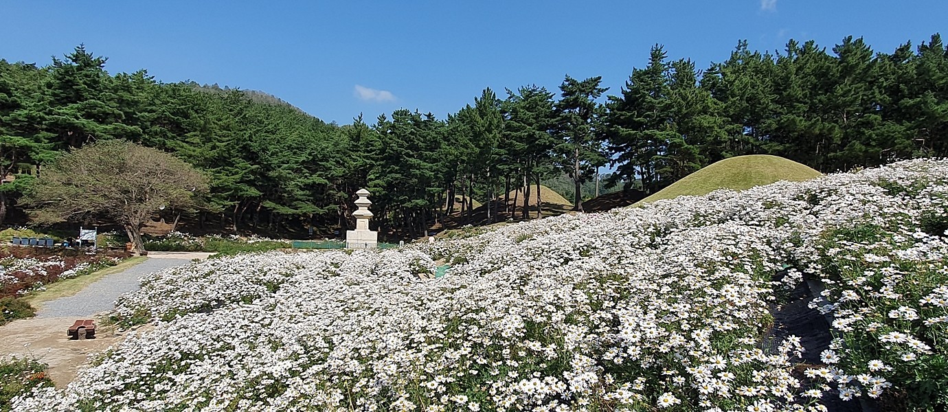 서악동 삼층석탑을 멀리서 바라본 모습