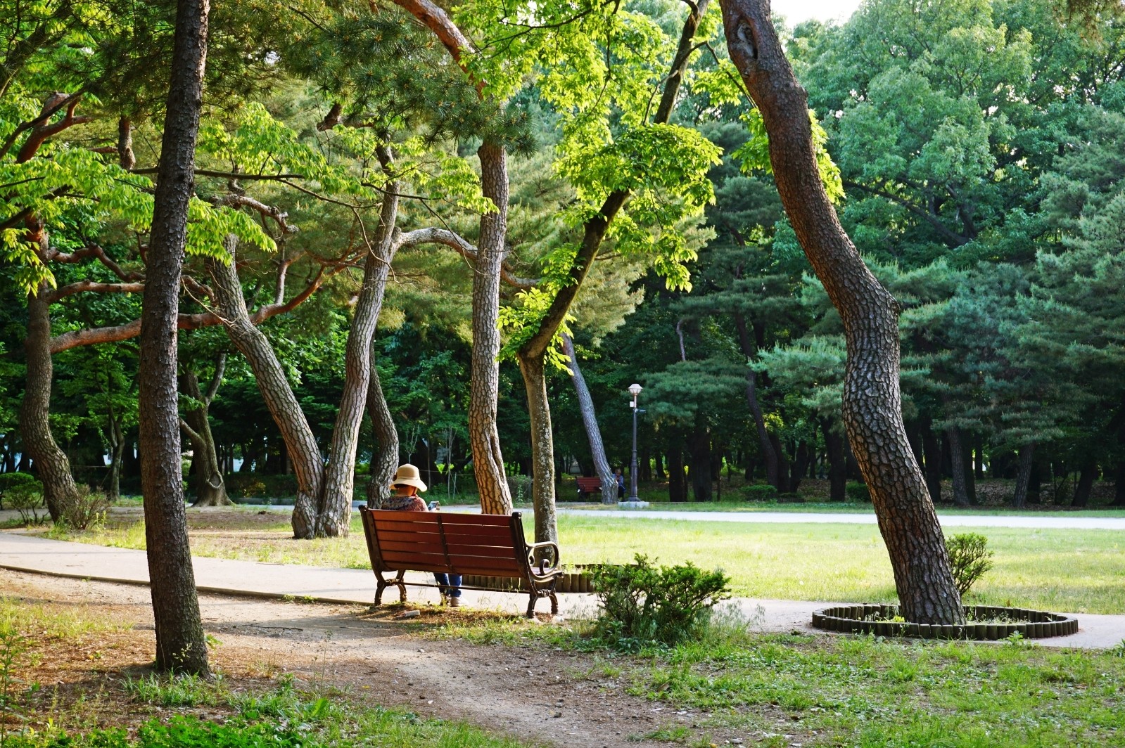 황성공원의 어느 벤치에 사람이 앉아있는 모습.jpg