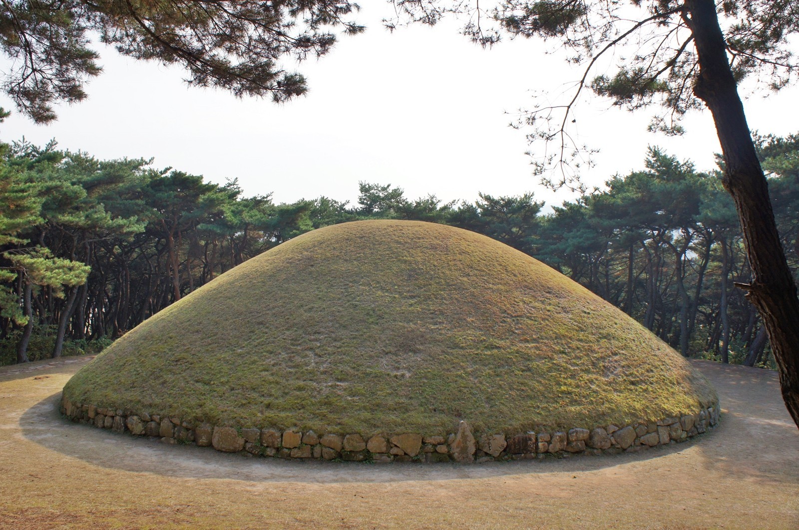 선덕여왕릉 전경