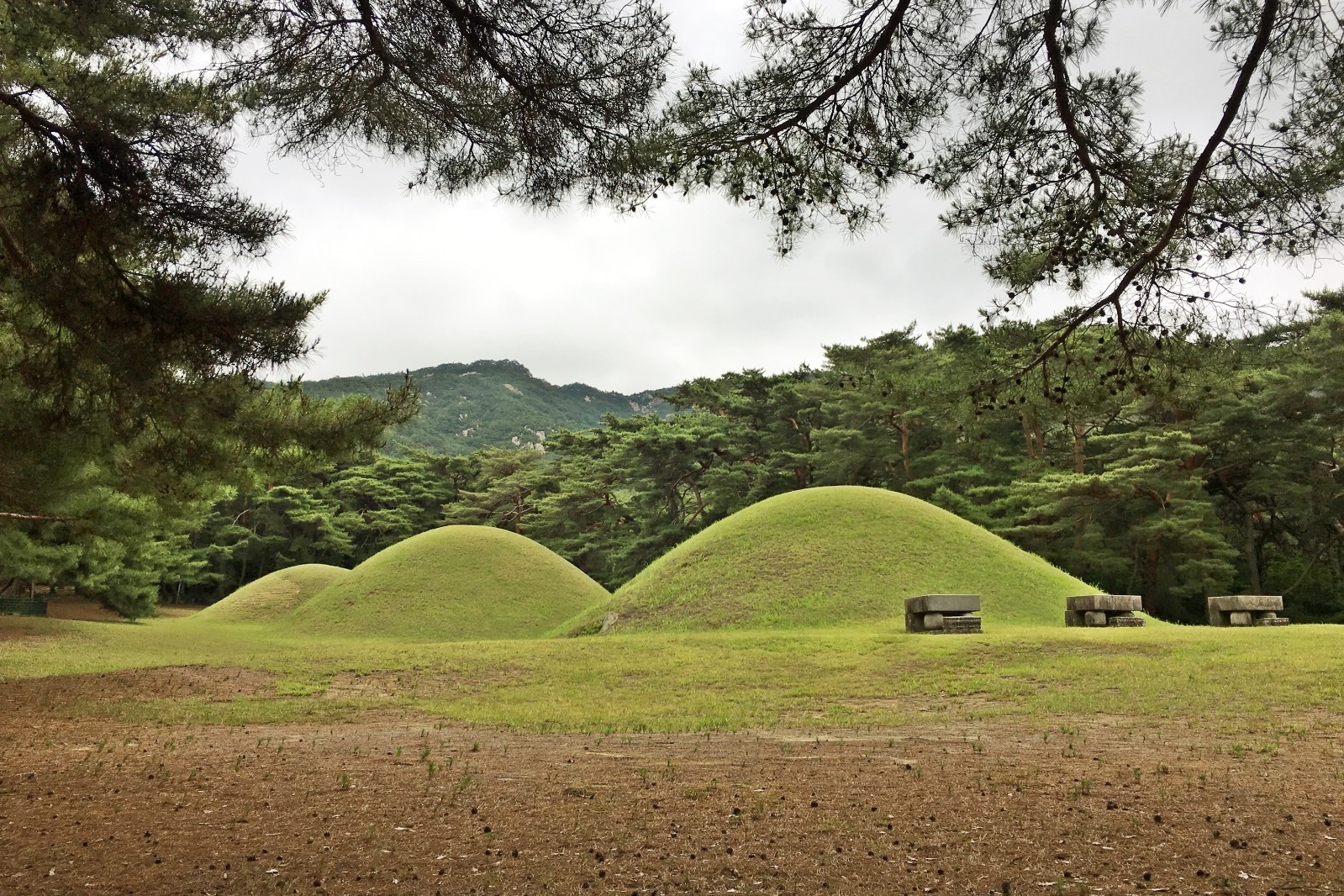 삼릉 전경