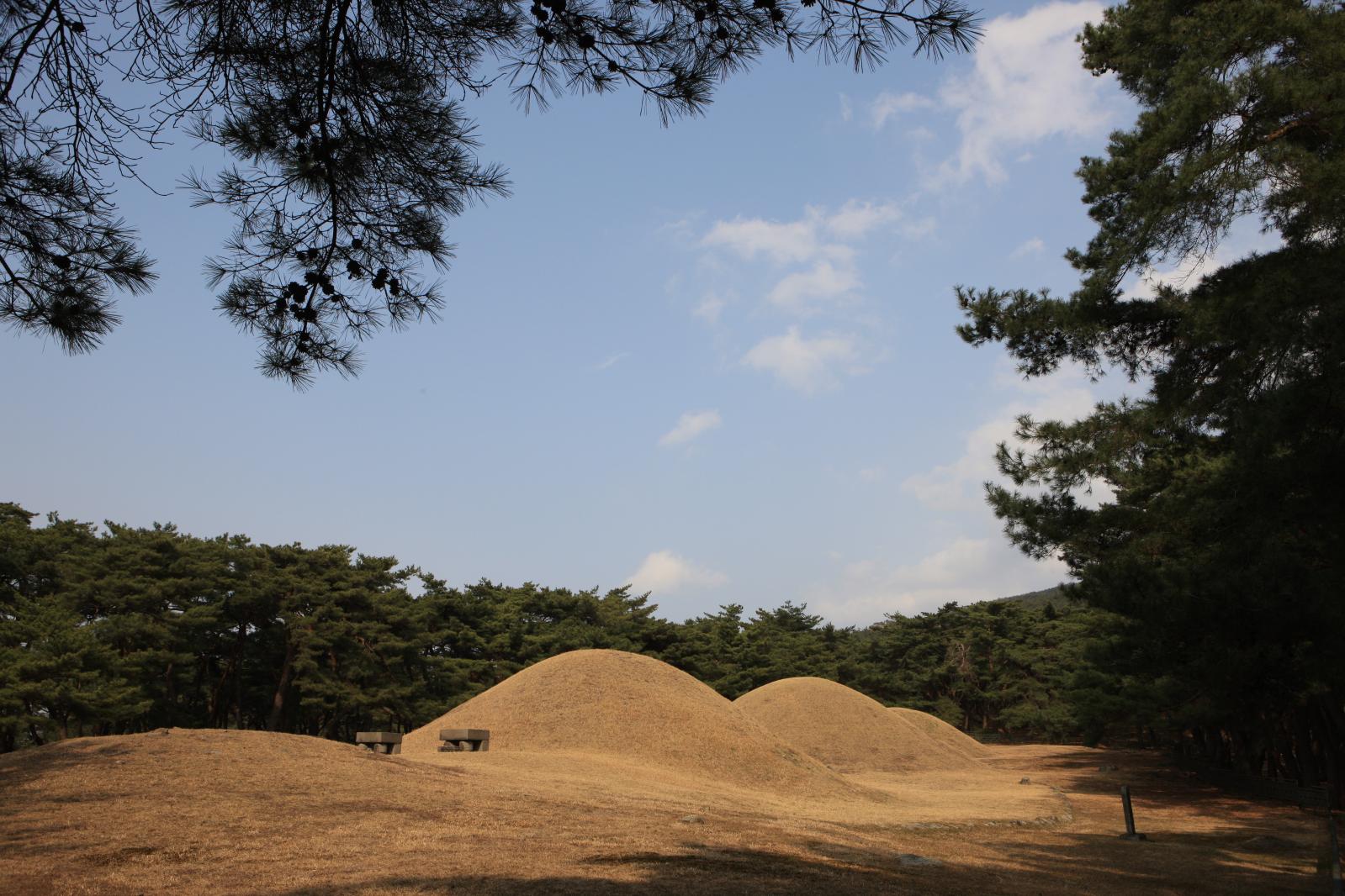 배동삼릉1