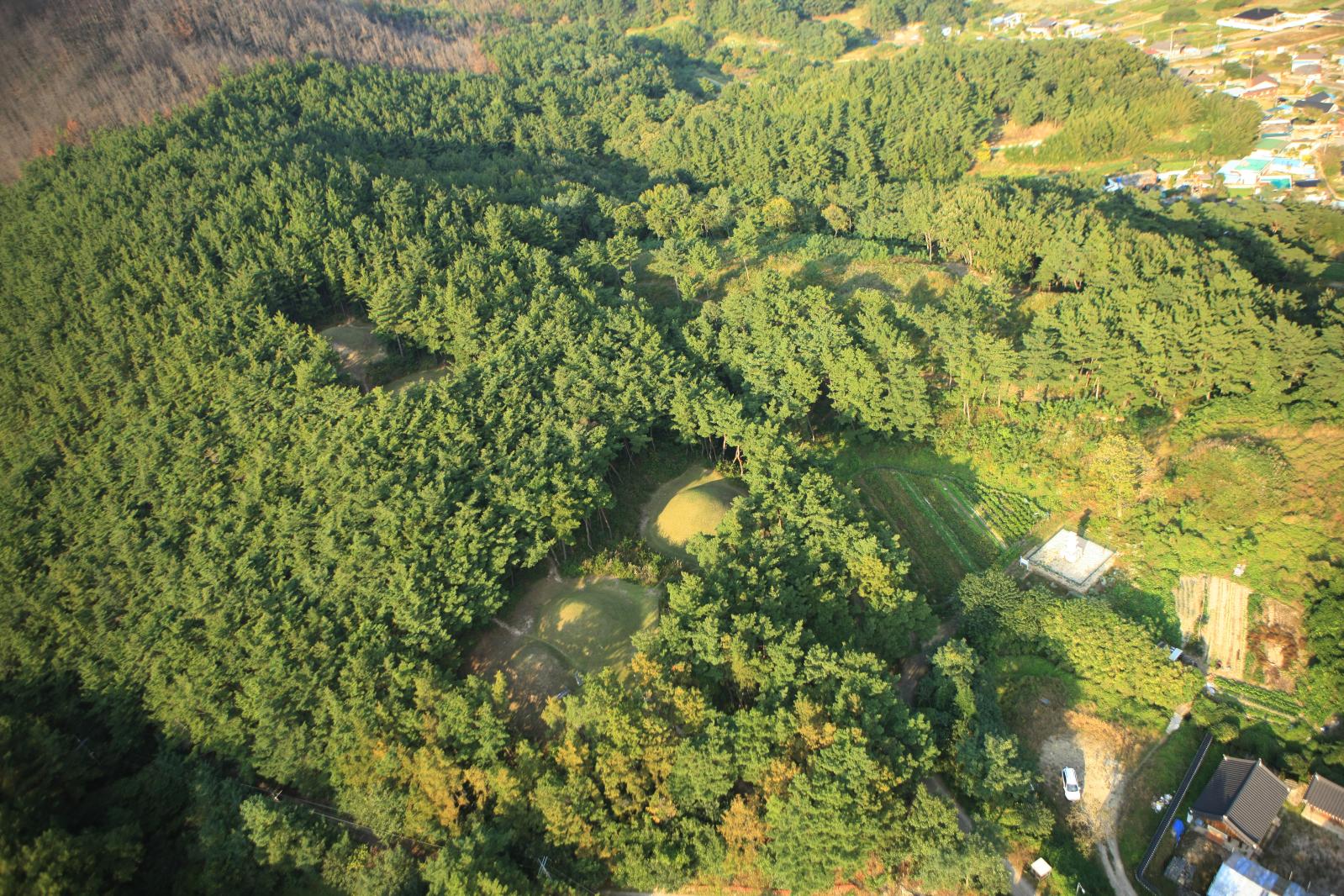 진흥·진지·문성·헌안왕릉1