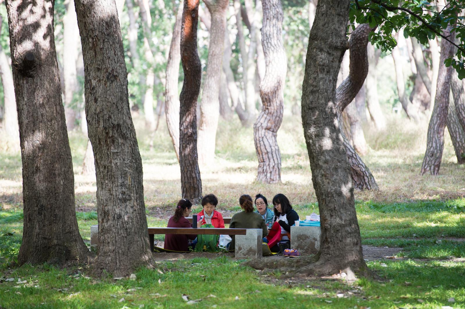 42회 신라문화제