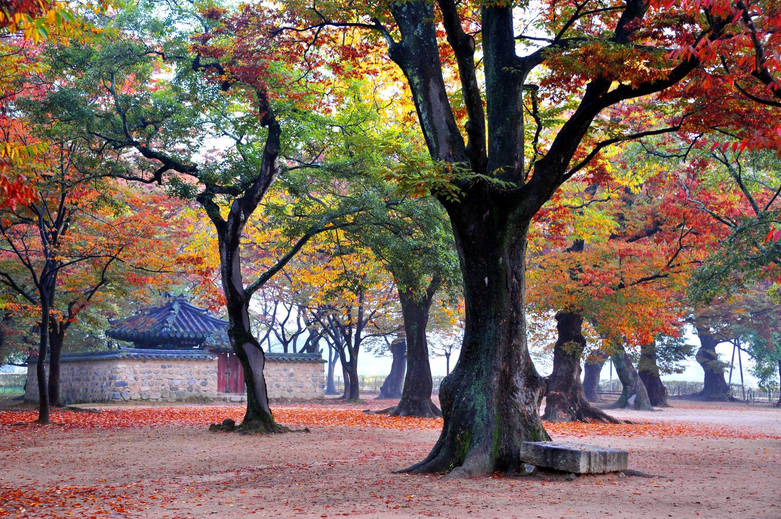 계림 추경