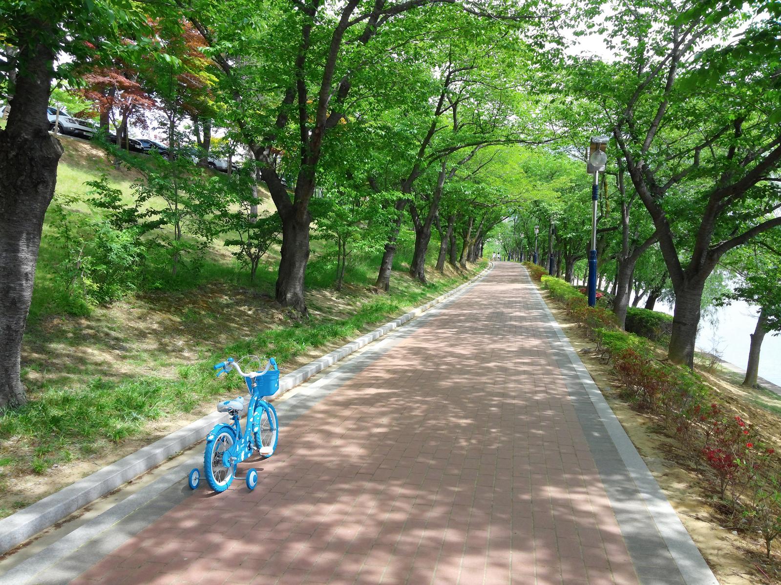 경주의 초록을 느끼다