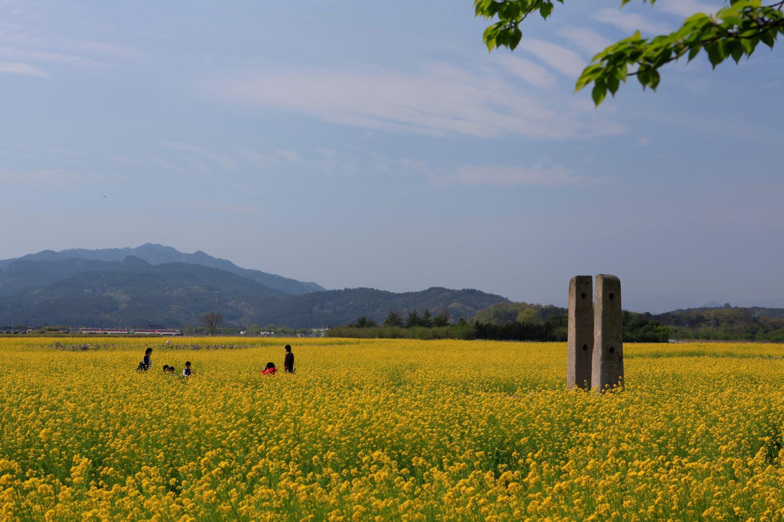 남산이 보이는 풍경
