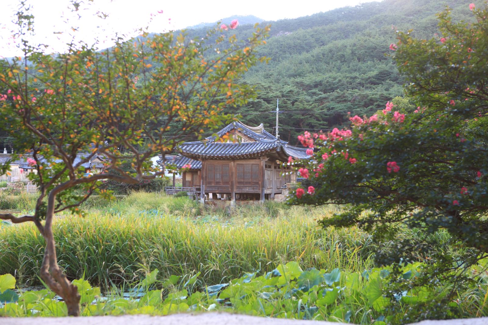 경주서출지