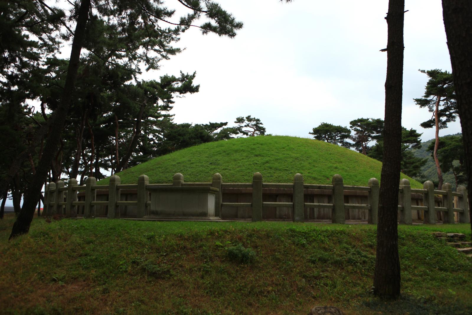 경주 헌덕왕릉2