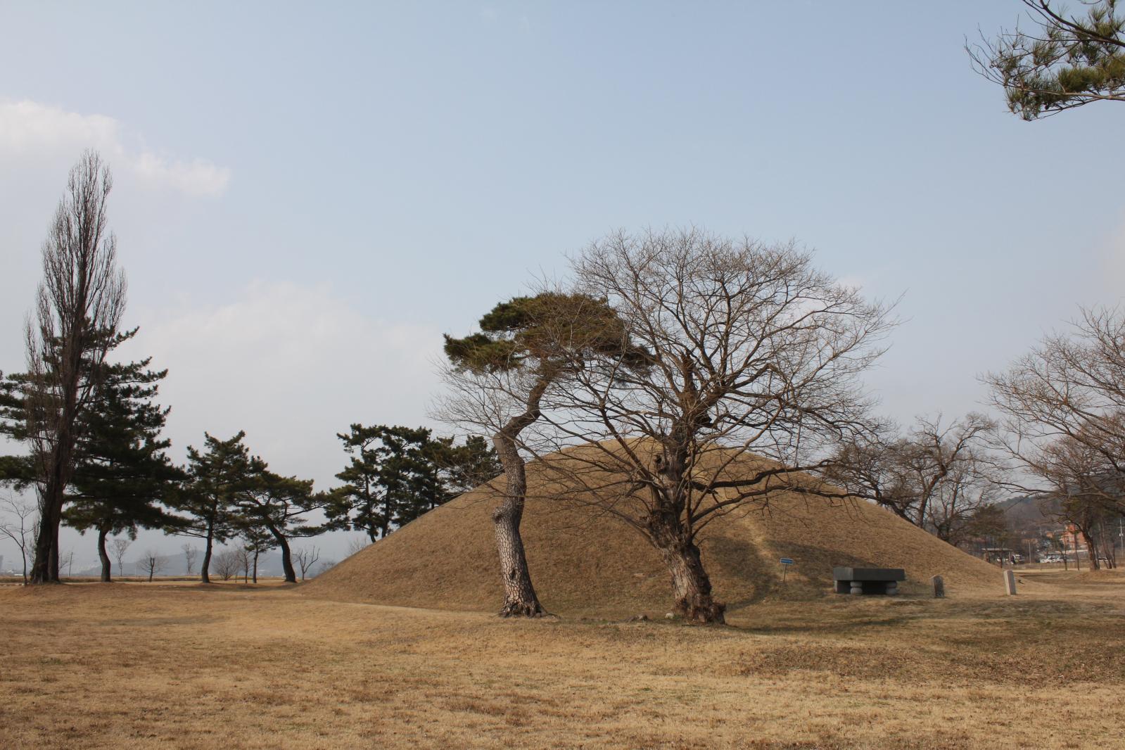 진평왕릉6