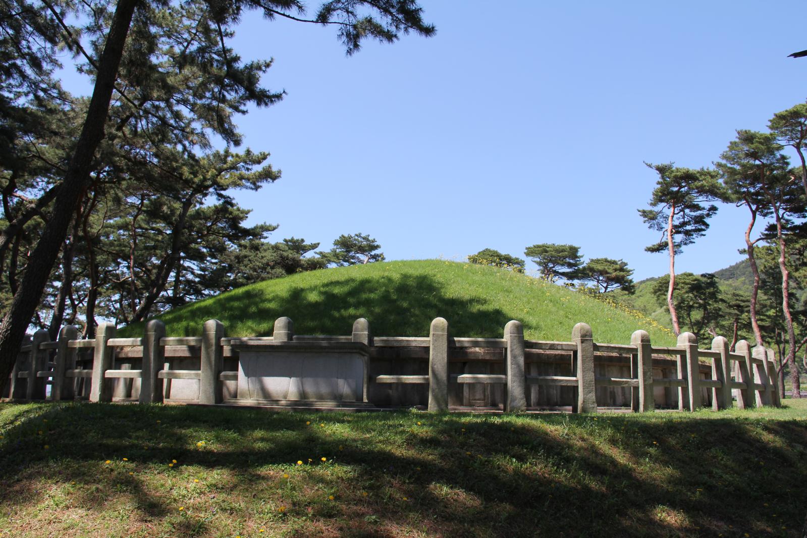 헌덕왕릉6