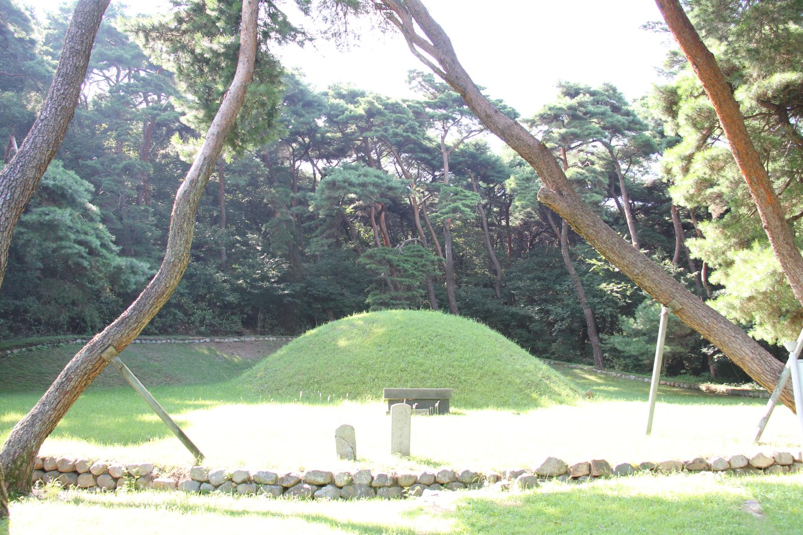 법흥왕릉5