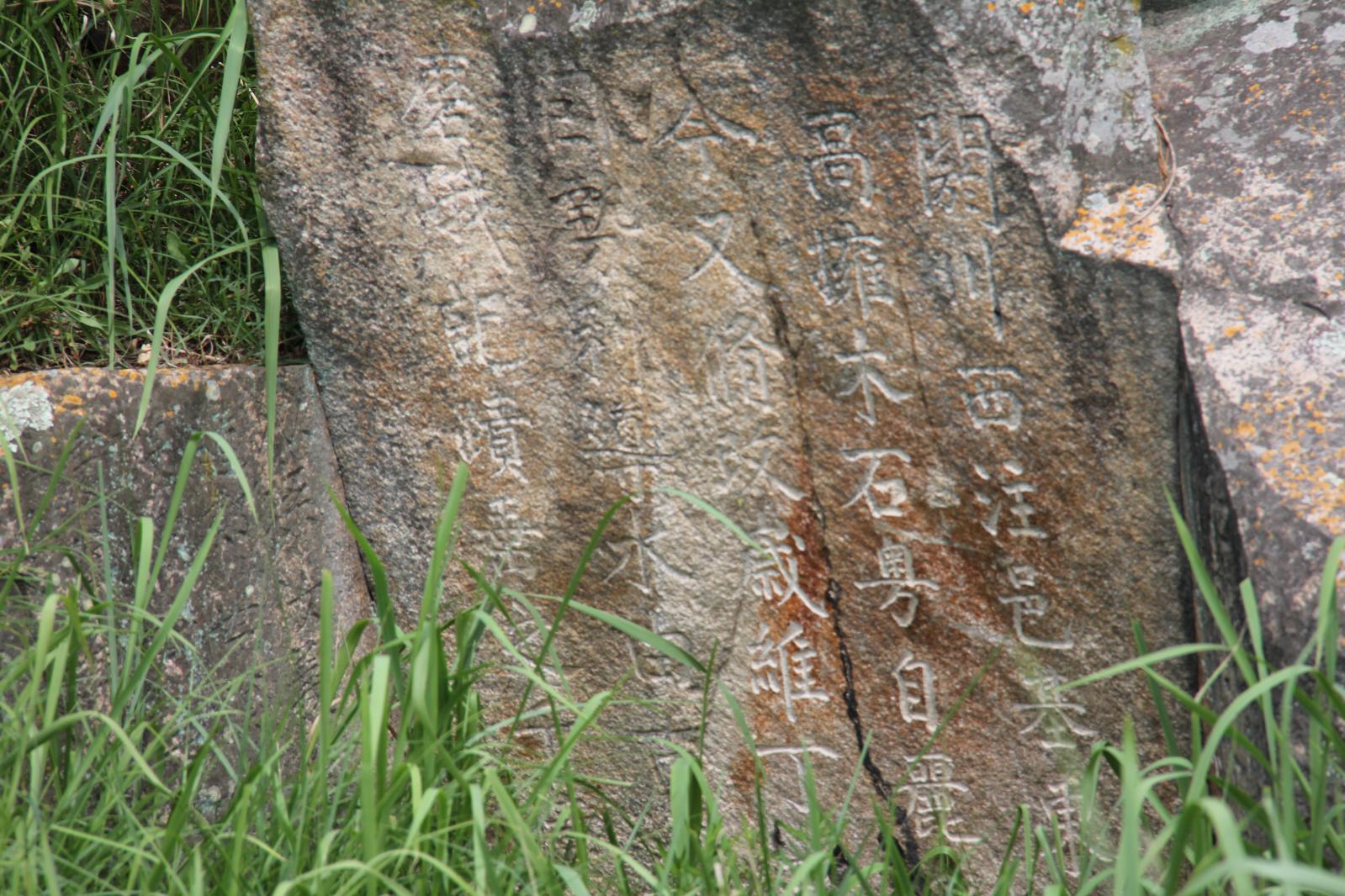 알천제방수개기2