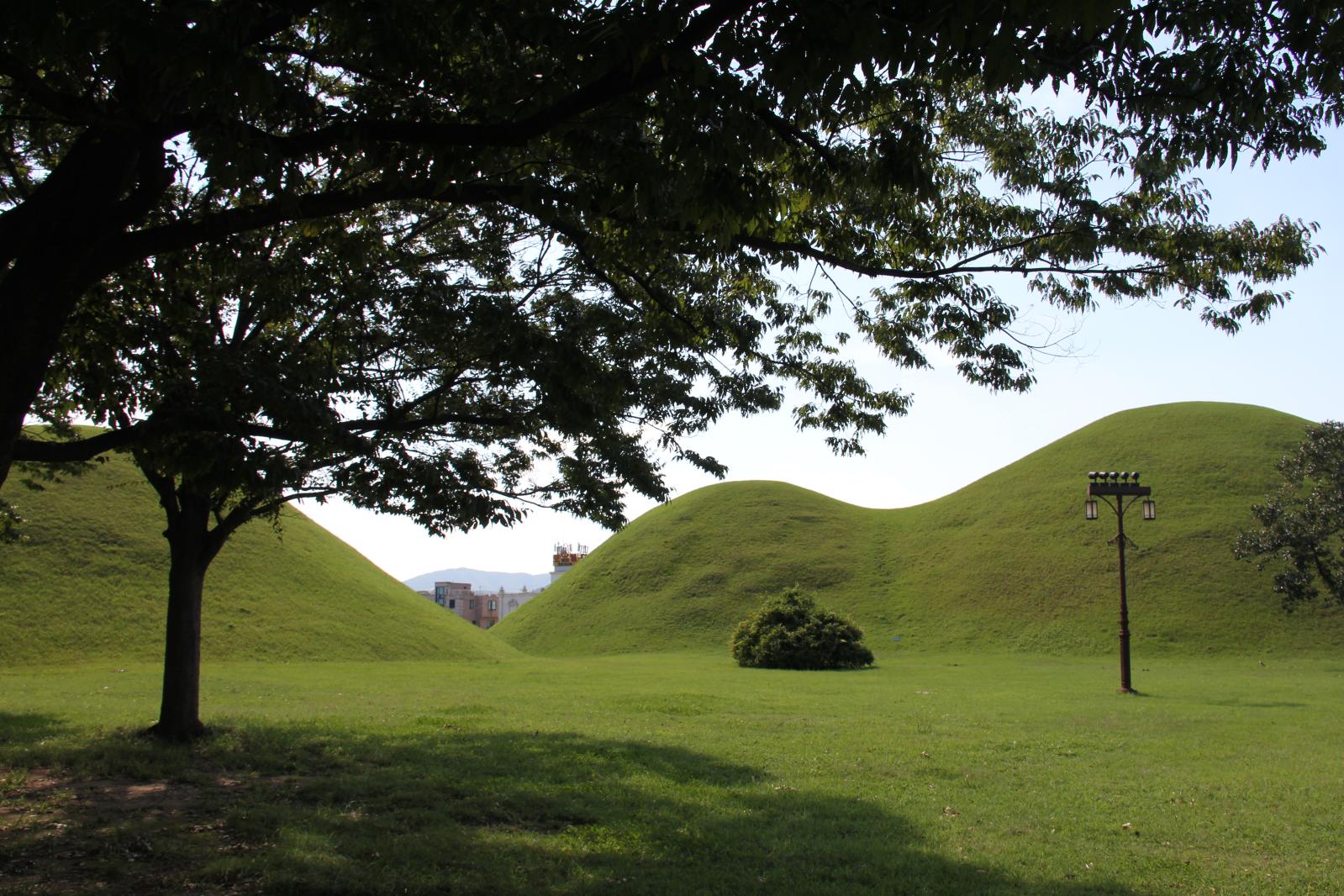 노서리고분군111