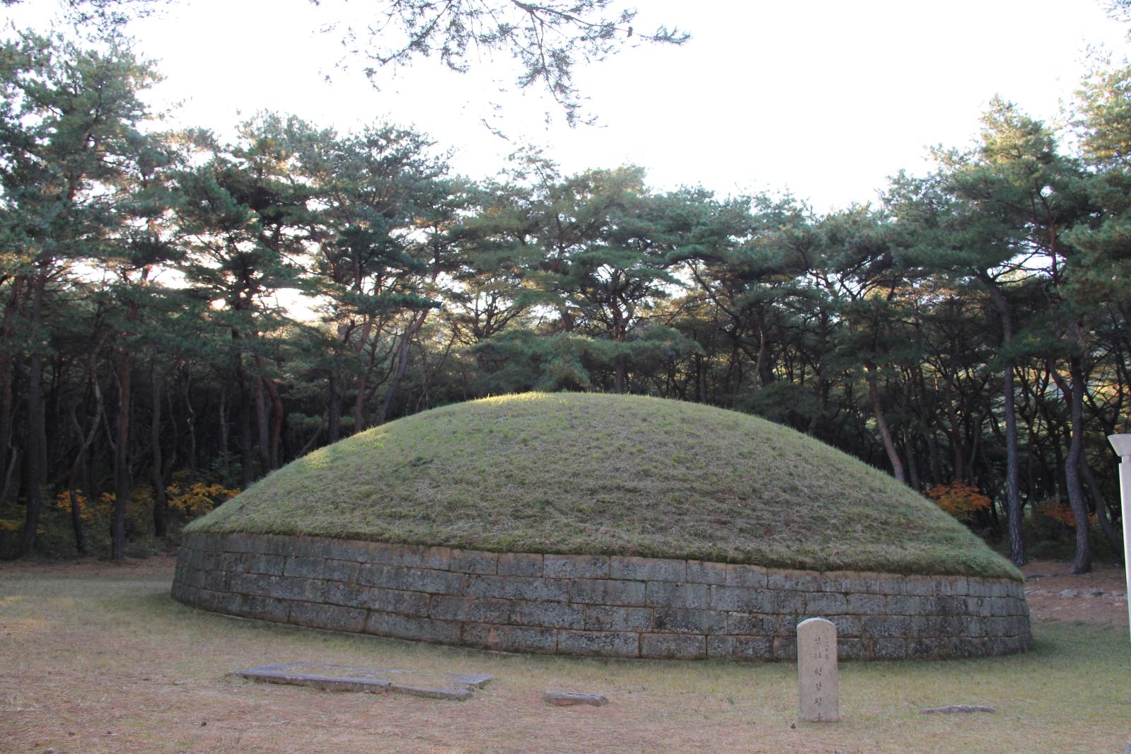 헌강왕릉4
