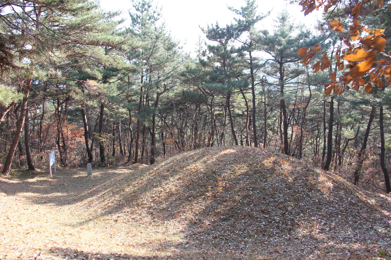 희강왕릉4