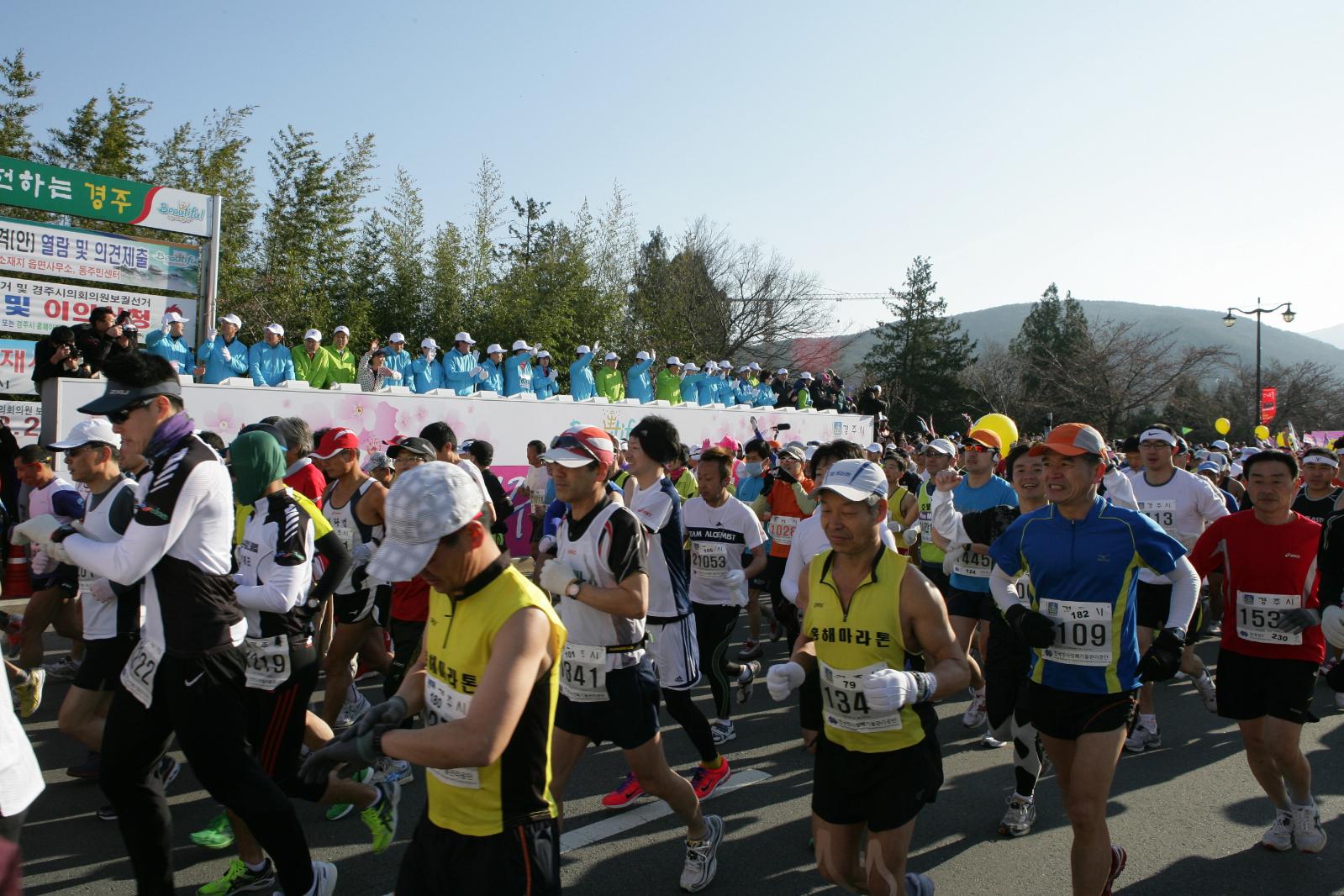 경주벚꽃마라톤6