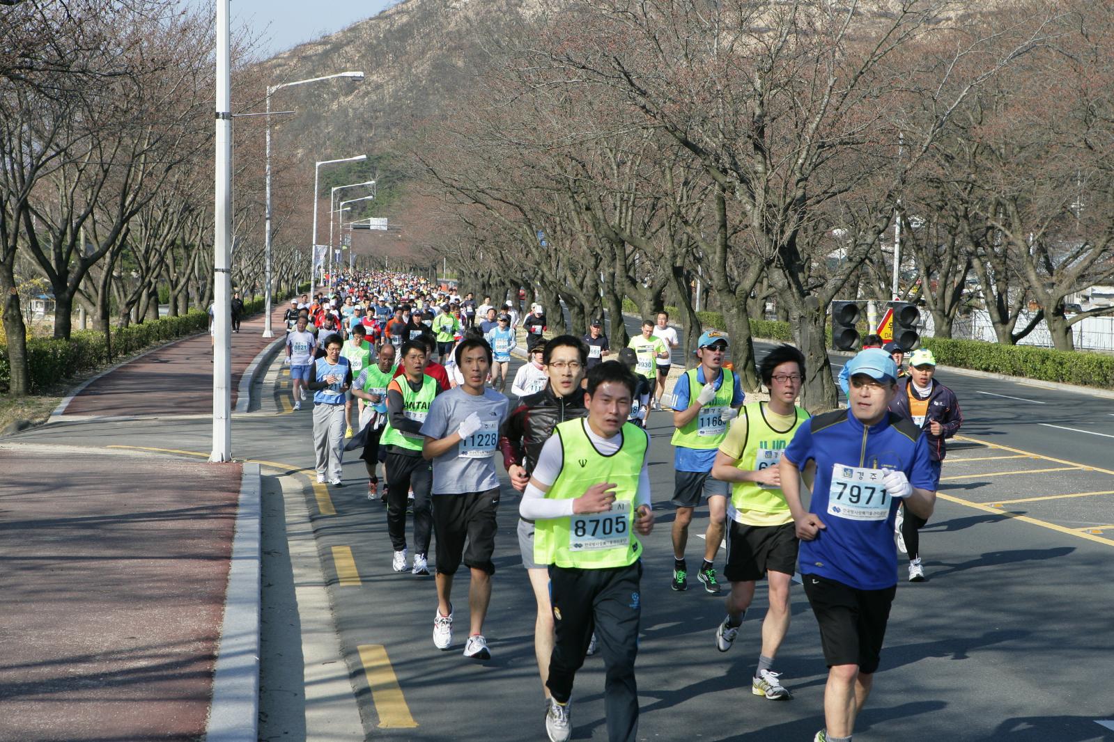 경주벚꽃마라톤12