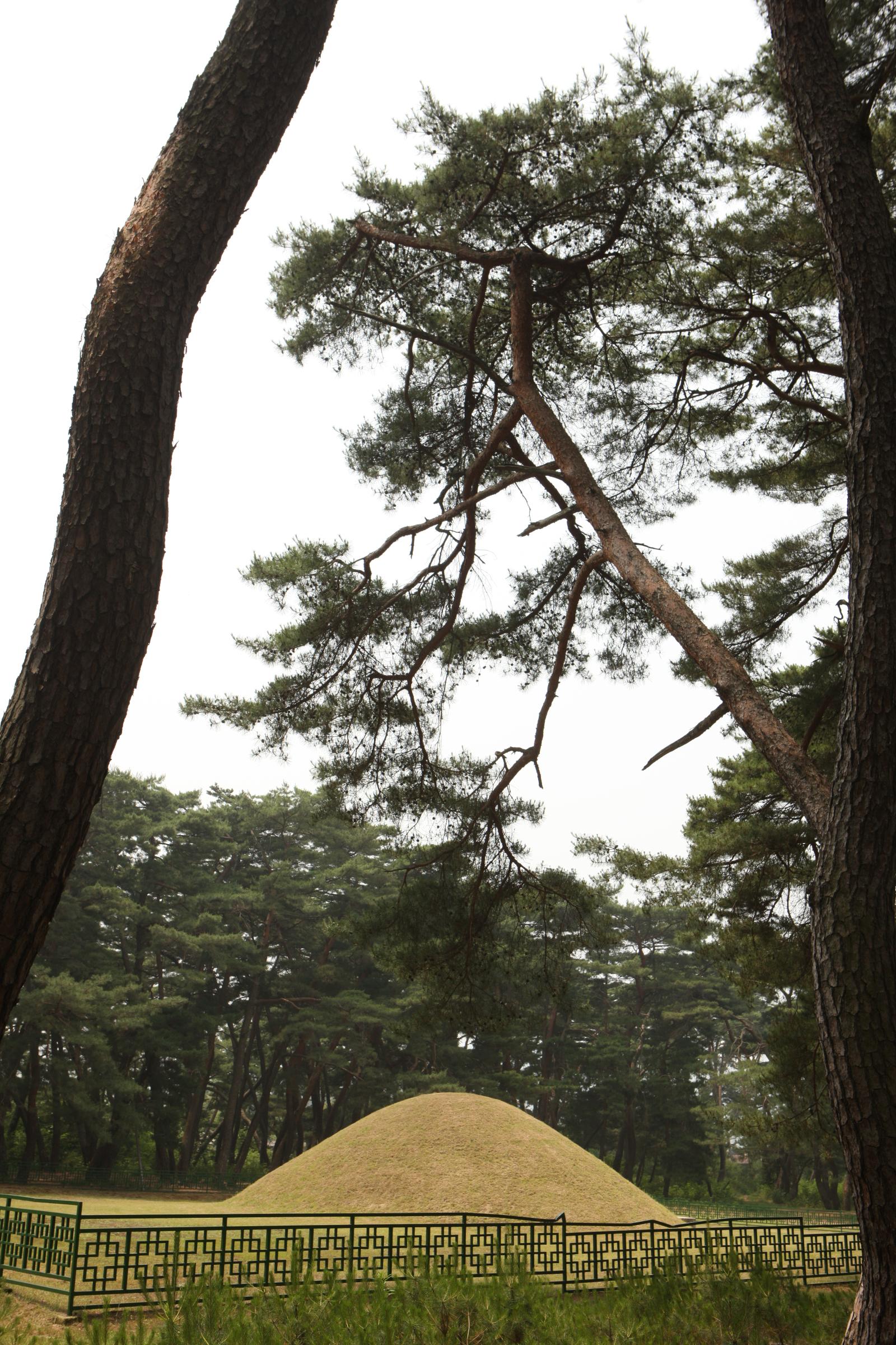 경애왕릉1