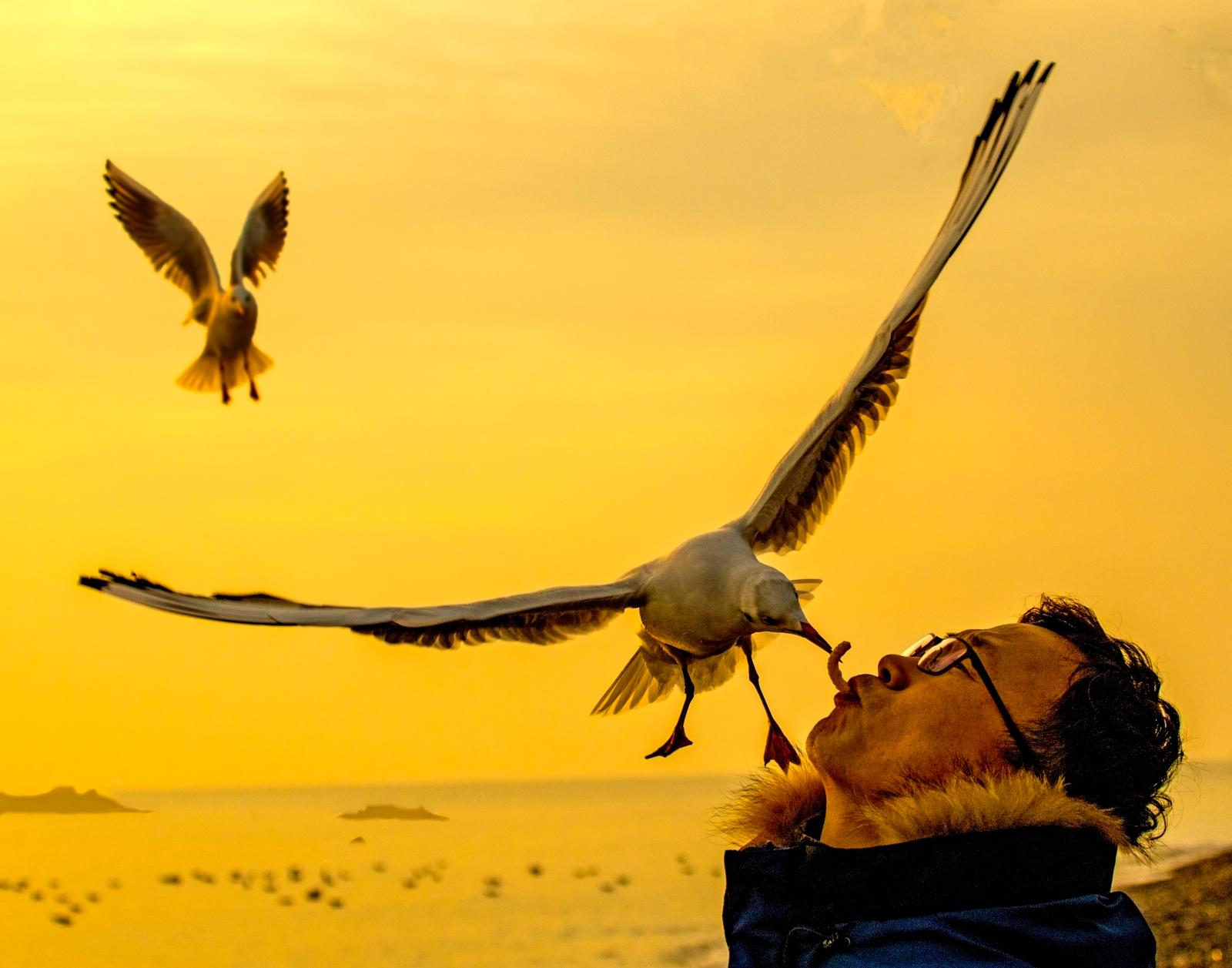 대왕암갈매기교감_금병철(동상)