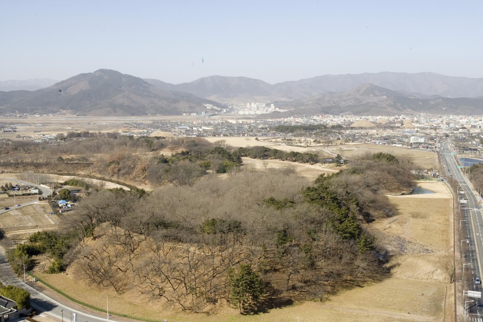 반월성 항공사진