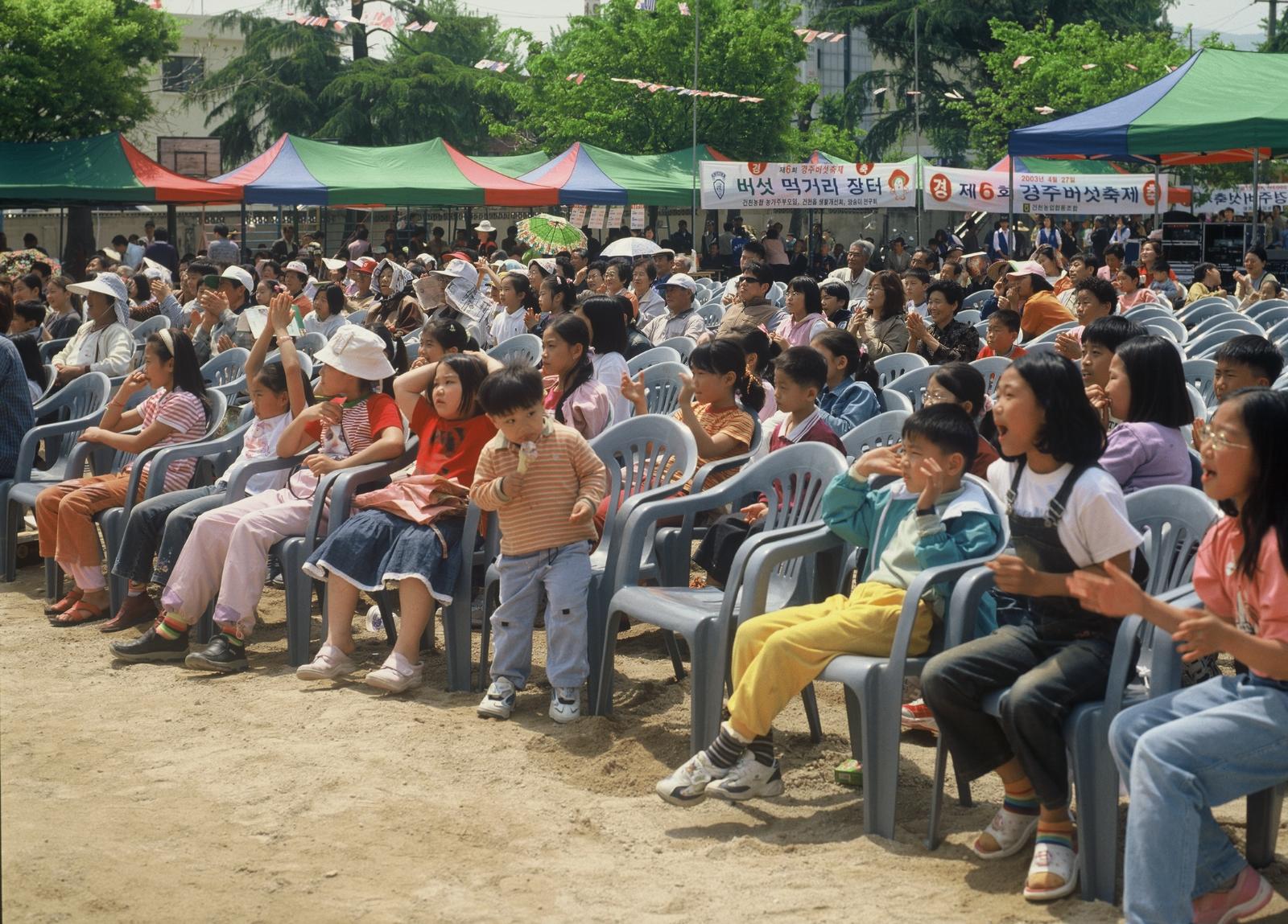 버섯축제
