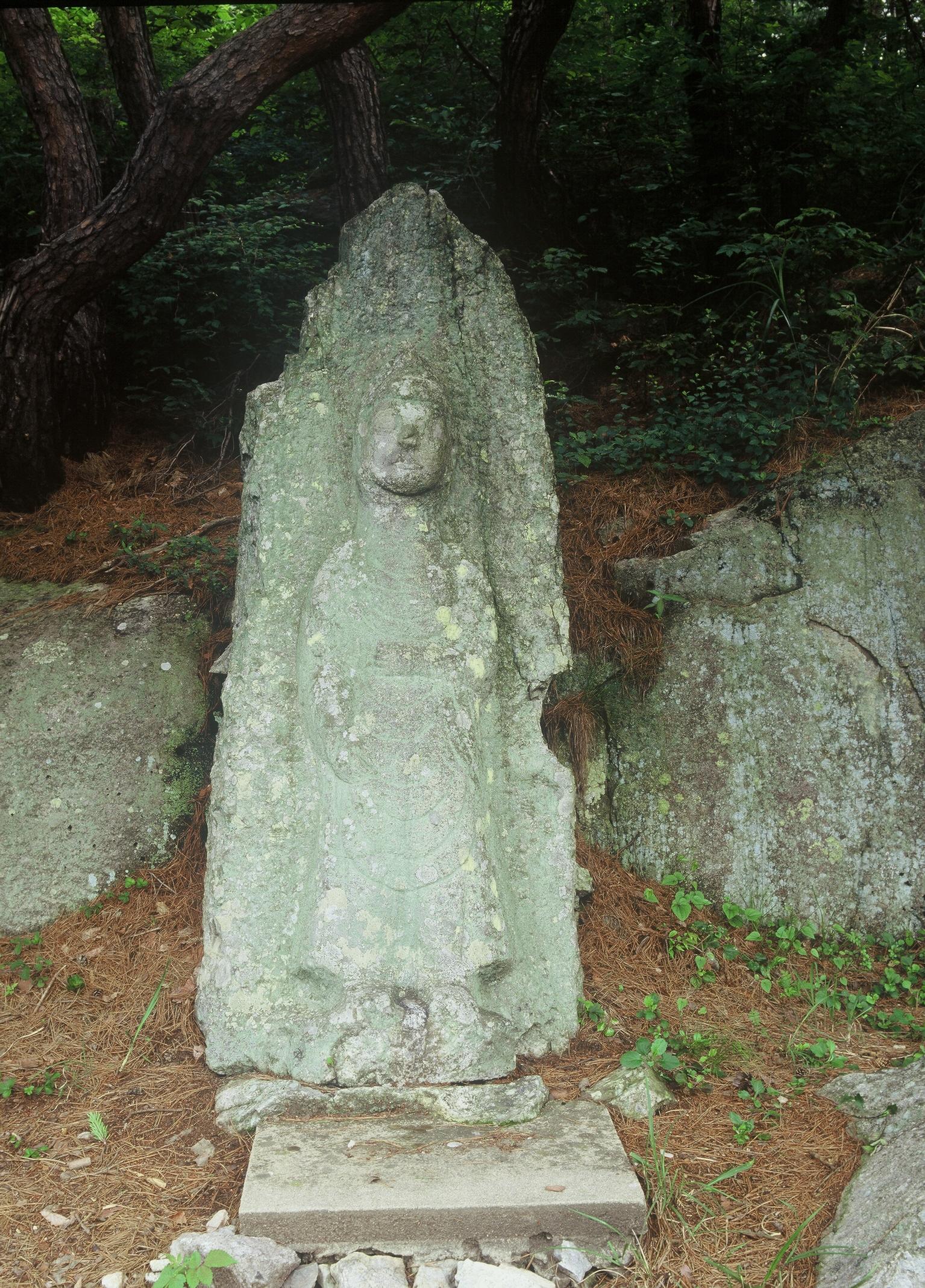 벽도산석불입상