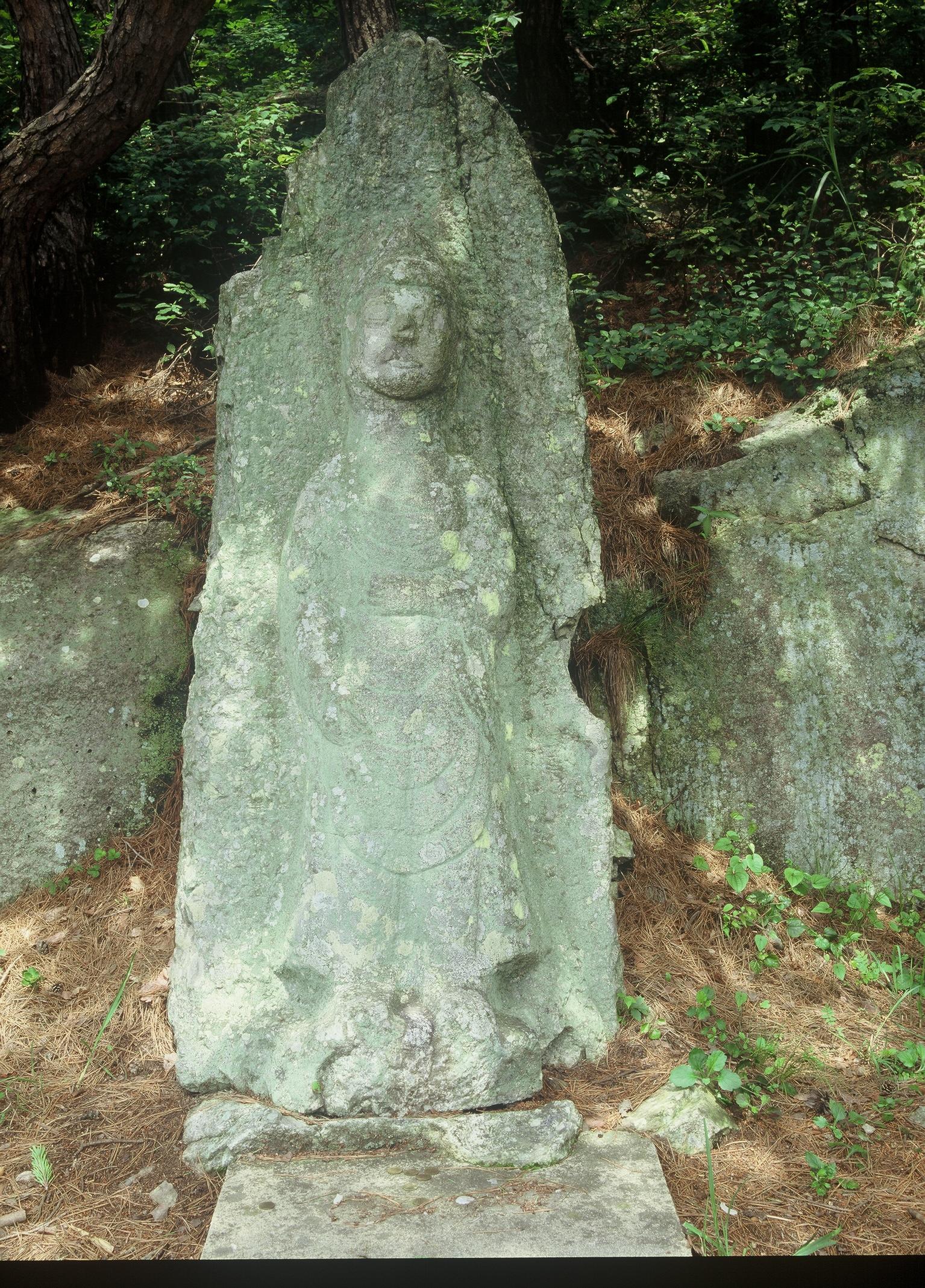 벽도산석불입상3