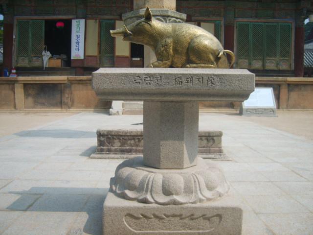 불국사황금돼지