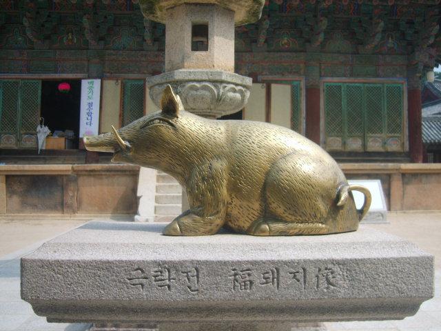 불국사황금돼지