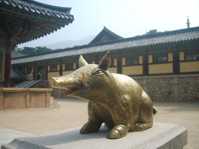 불국사황금돼지