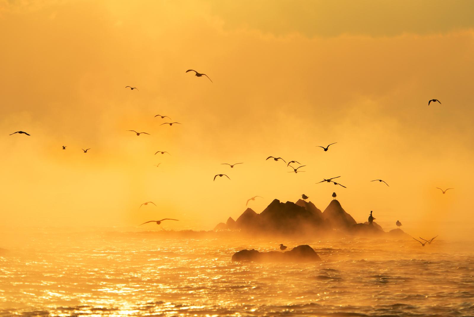 비상_김재현(동상)