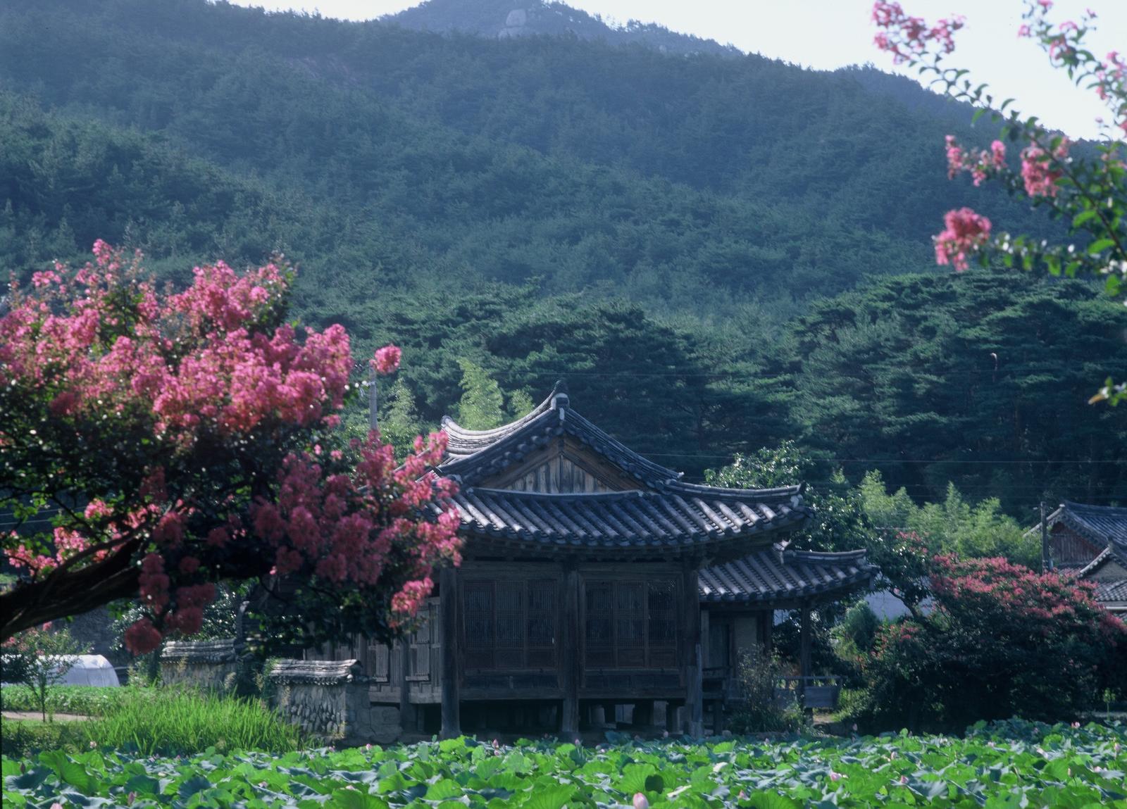 서출지3