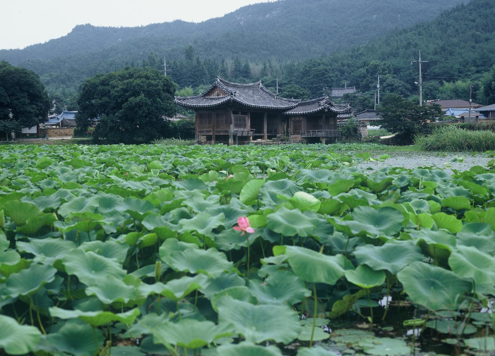 서출지4