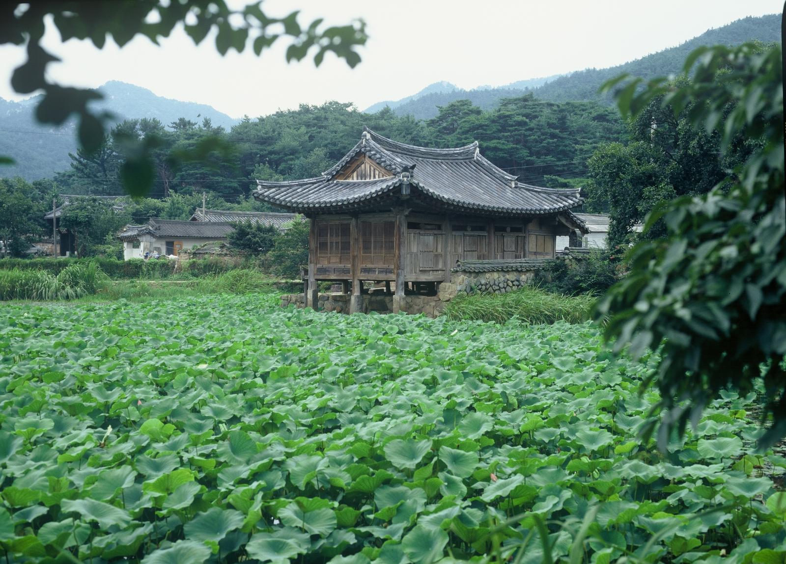 서출지5