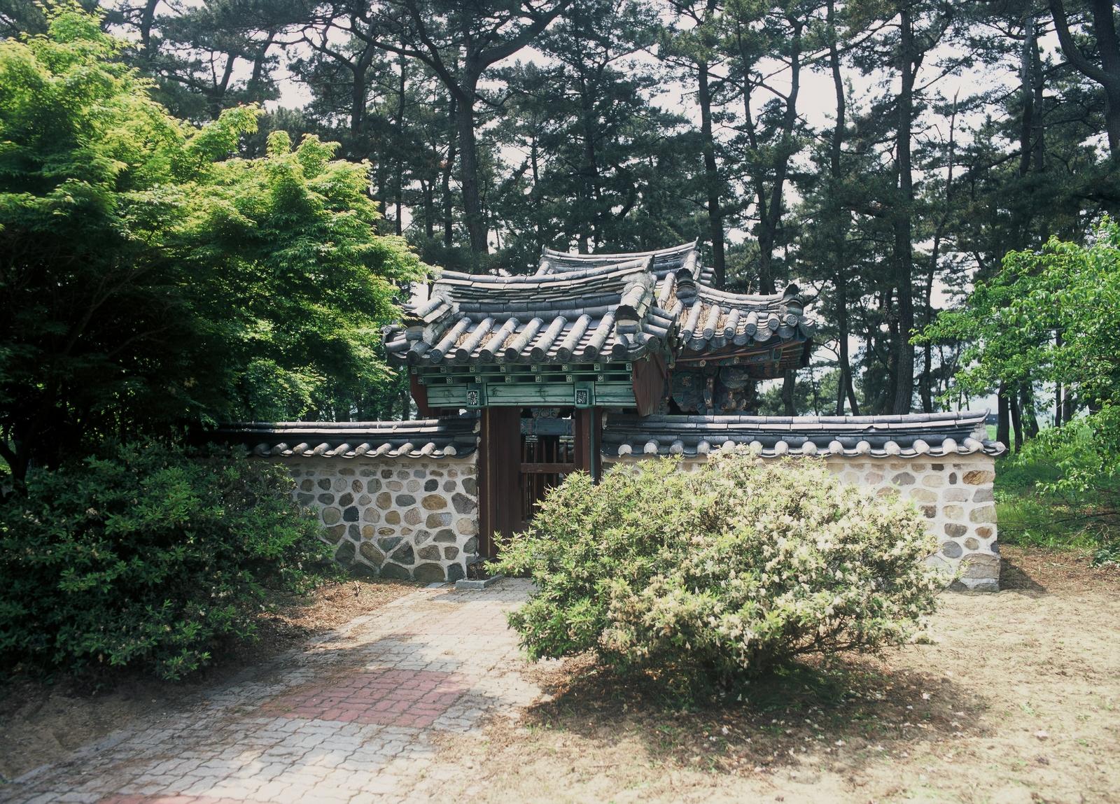석탈해왕탄강유허3