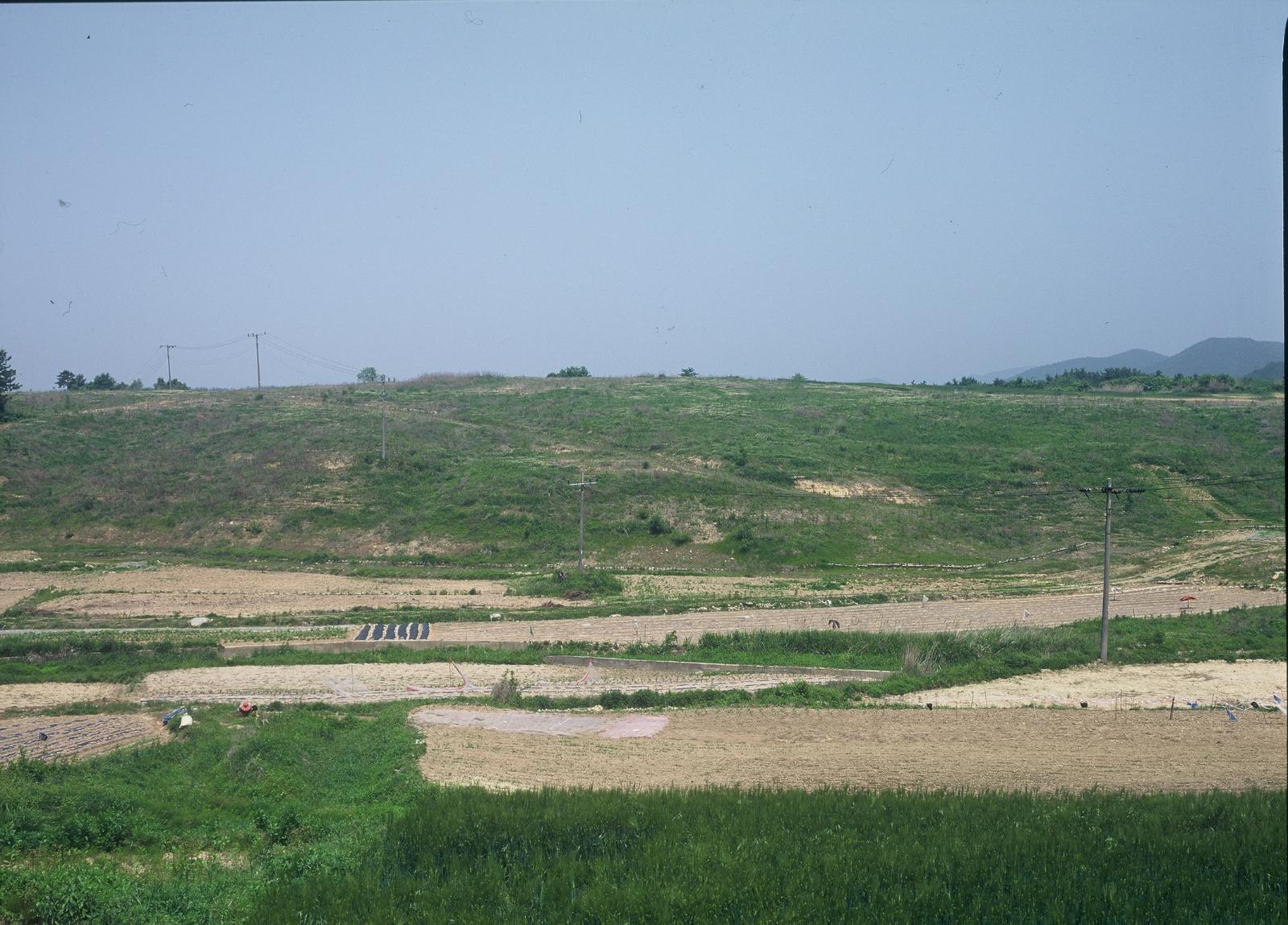 손곡동물천리유적